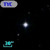 TYC 1208-976-1