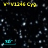 V* V1246 Cyg