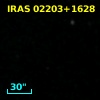 IRAS 02203+1628