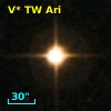 V* TW Ari