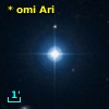 * omi Ari