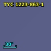 TYC 1223-863-1