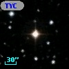 TYC 1667-205-1