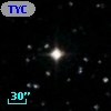 TYC 1667-1015-1