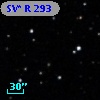 SV* R   293