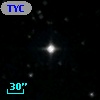 TYC 1687-1539-1