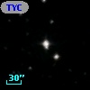 TYC 1687-1628-1