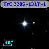 TYC 2205-1317-1