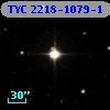 TYC 2218-1079-1