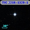 TYC 2218-1329-1