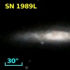 SN 1989L
