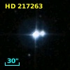 HD 217263