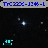 TYC 2239-1248-1