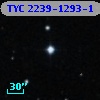 TYC 2239-1293-1