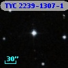 TYC 2239-1307-1