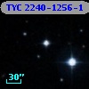 TYC 2240-1256-1