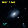 NGC  7568