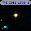 TYC 2241-1300-1