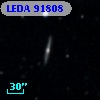 LEDA   91808