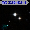 TYC 2250-828-1