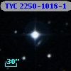 TYC 2250-1018-1