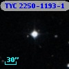 TYC 2250-1193-1