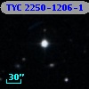 TYC 2250-1206-1