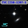 TYC 2250-1207-1