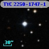 TYC 2250-1747-1