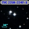 TYC 2250-2247-1