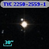 TYC 2250-2559-1