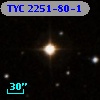 TYC 2251-80-1