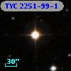 TYC 2251-99-1