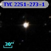 TYC 2251-273-1