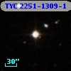 TYC 2251-1309-1