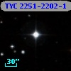 TYC 2251-2202-1