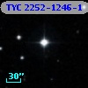 TYC 2252-1246-1