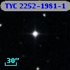 TYC 2252-1981-1