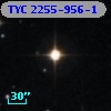 TYC 2255-956-1