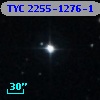 TYC 2255-1276-1