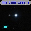 TYC 2255-1592-1
