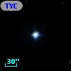TYC 1730-1314-1