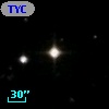 TYC 1731-1098-1