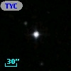 TYC 1731-1277-1