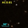 ACO    81