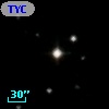 TYC 1194-1316-1