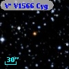 V* V1566 Cyg