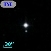 TYC 1195-2336-1