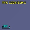 TYC 1204-219-1
