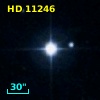 HD  11246